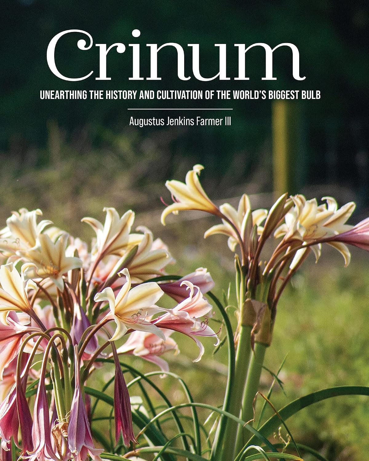 Crinum: Unearthing the History and Cultivation of the World’s Biggest Bulb (English Edition) baixar livro de graça