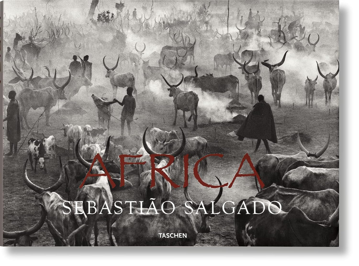 Sebastião Salgado: Africa baixar o livro de graça