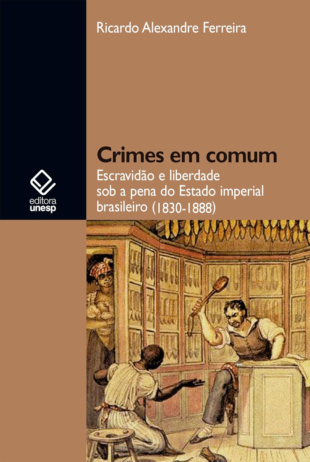 Crimes em comum: escravidão e liberdade sob a pena do Estado imperial brasileiro (1830-1888) baixar livro de graça