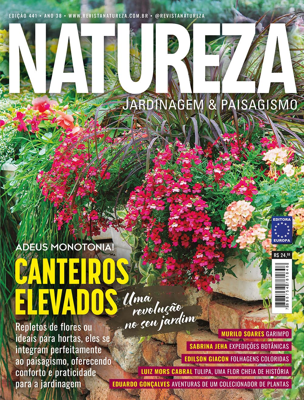 Revista Natureza 441 baixar livro de graça