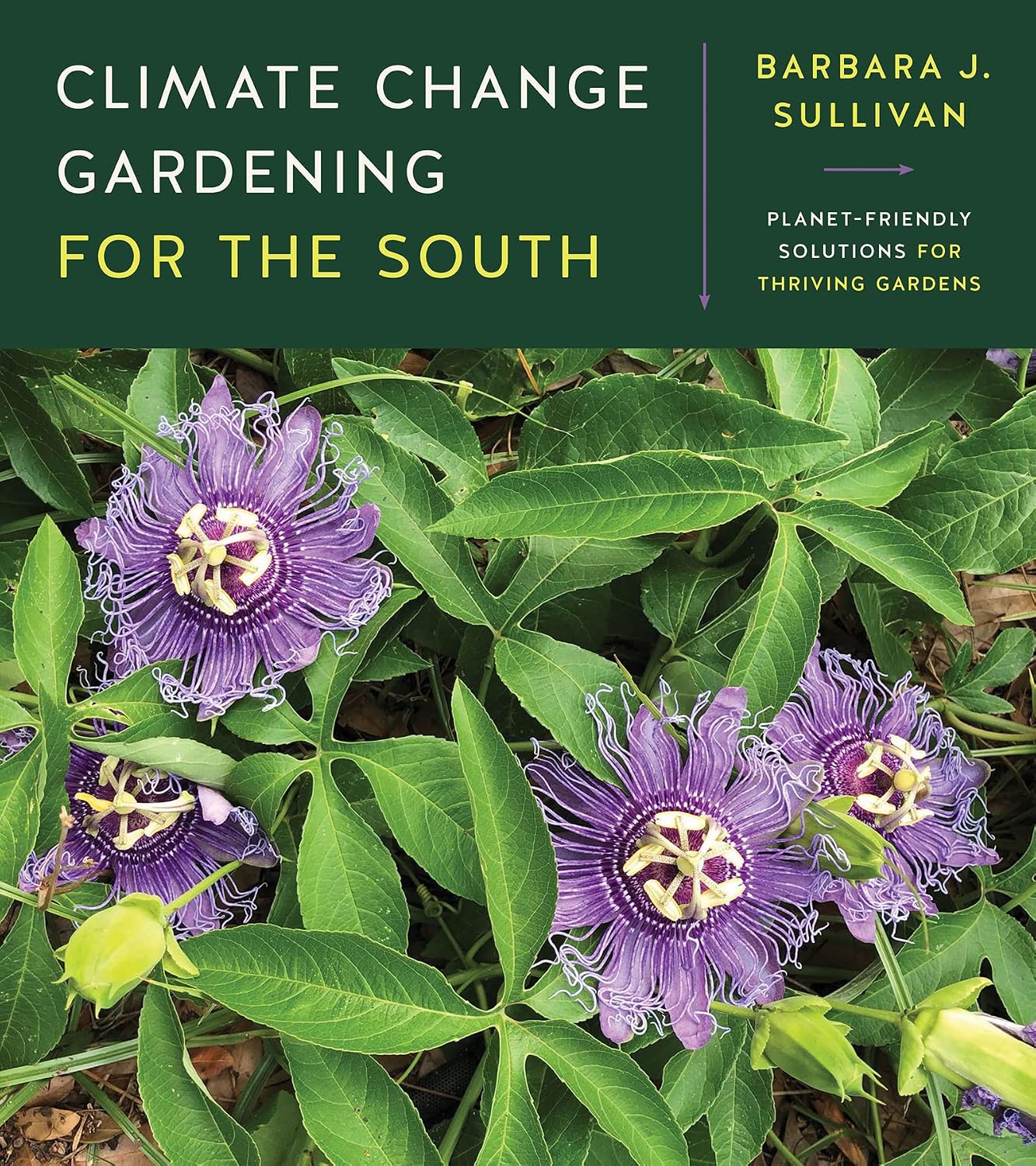 Climate Change Gardening for the South: Planet-Friendly Solutions for Thriving Gardens (English Edition) baixar o livro de graça
