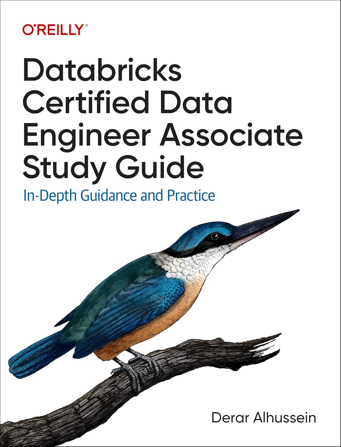 Databricks Certified Data Engineer Associate Study Guide: In-Depth Guidance and Practice baixar o livro de graça