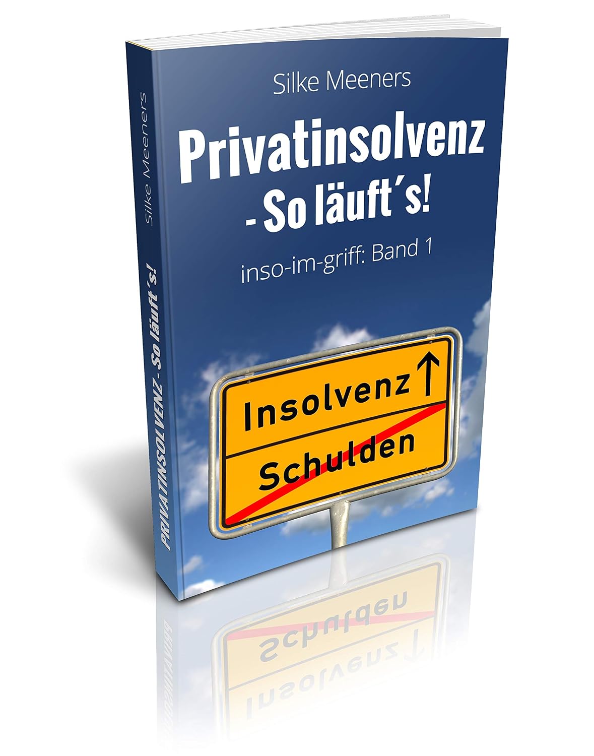 Privatinsolvenz - So läuft´s!: inso-im-griff: Band 1 - Neuauflage 2021 (German Edition) baixar livro de graça