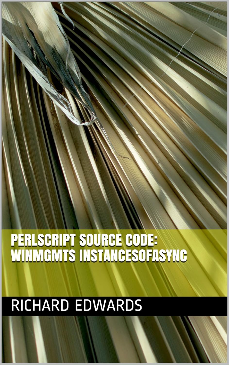 Perlscript Source Code: Winmgmts InstancesOfAsync (English Edition)