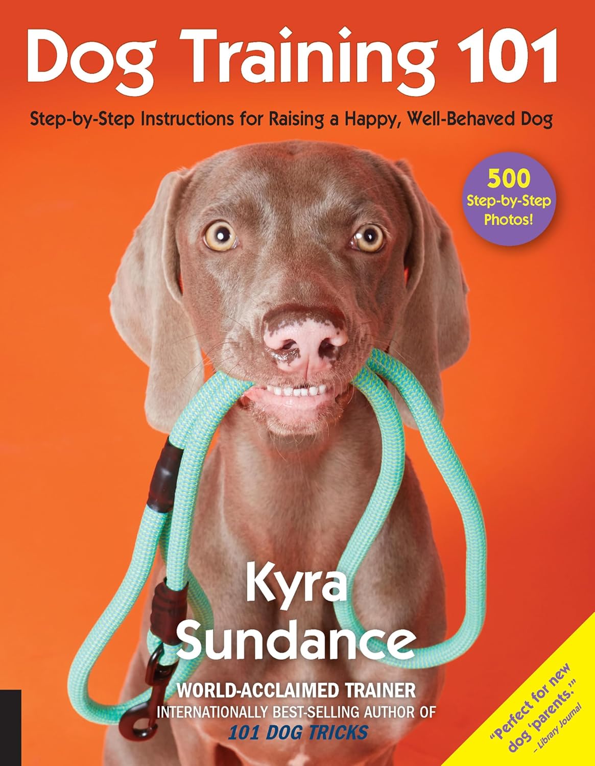 ler totalmente Dog Training 101: Step-by-Step Instructions for Raising a Happy Well-Behaved Dog (English Edition)