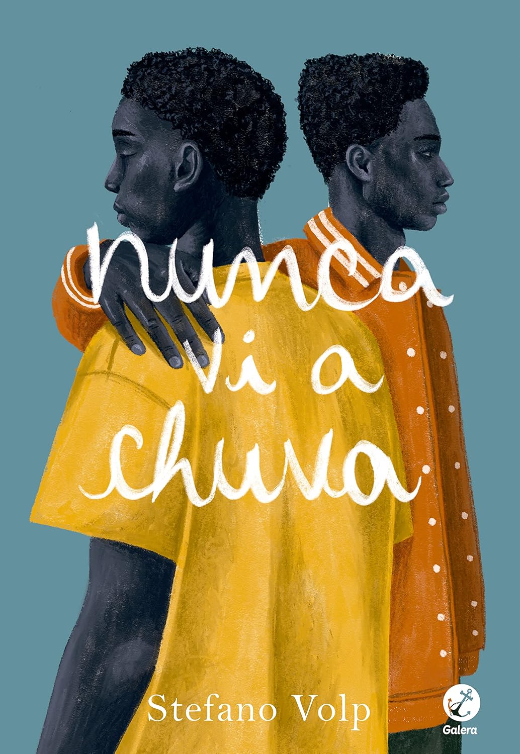 Nunca vi a chuva baixar livro de graça