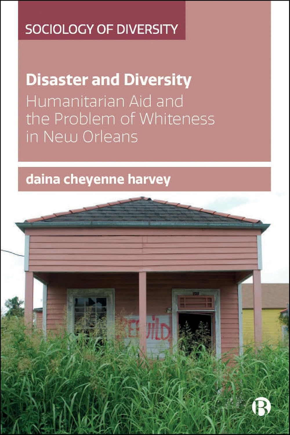 Disaster and Diversity: Humanitarian Aid and the Problem of Whiteness in New Orleans (Sociology of Diversity) (English Edition) baixar o livro de graça