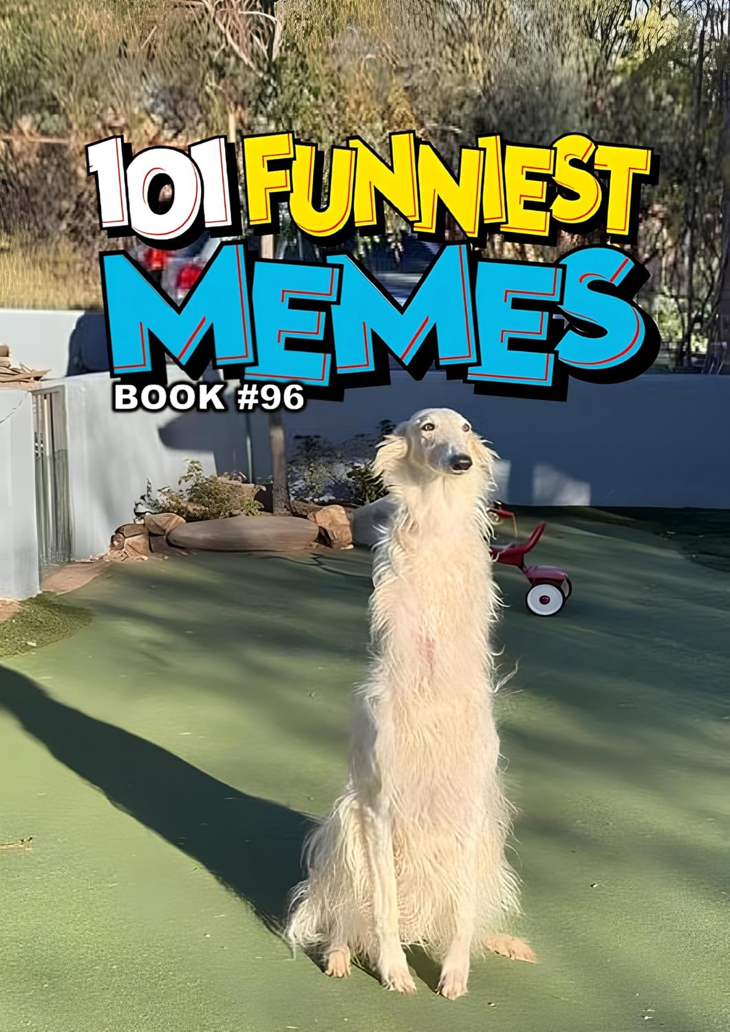 101 FUNNIEST MEMES: BOOK 96 (English Edition) baixar livro de graça