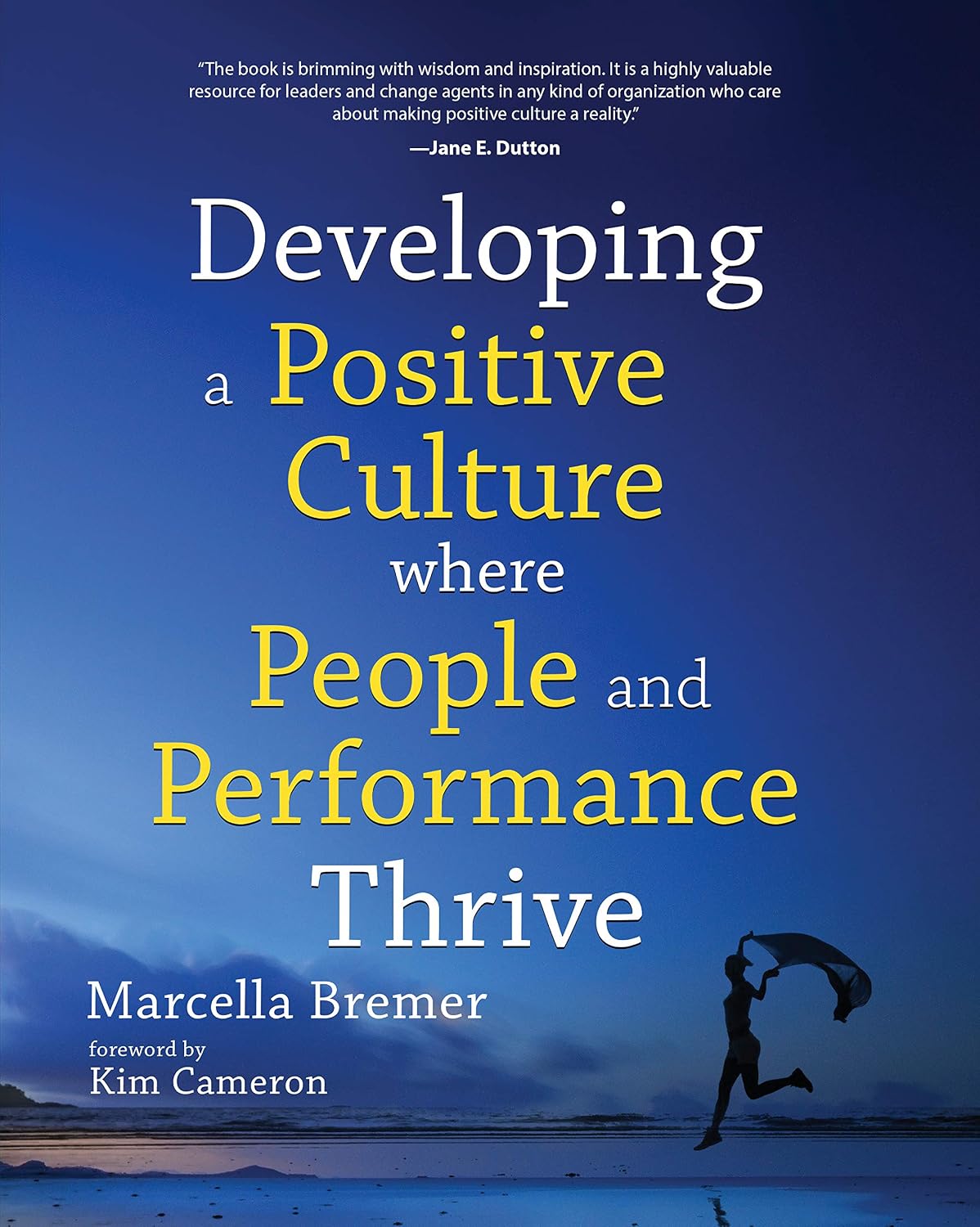 Developing a Positive Culture where People and Performance Thrive (English Edition) baixar livro de graça