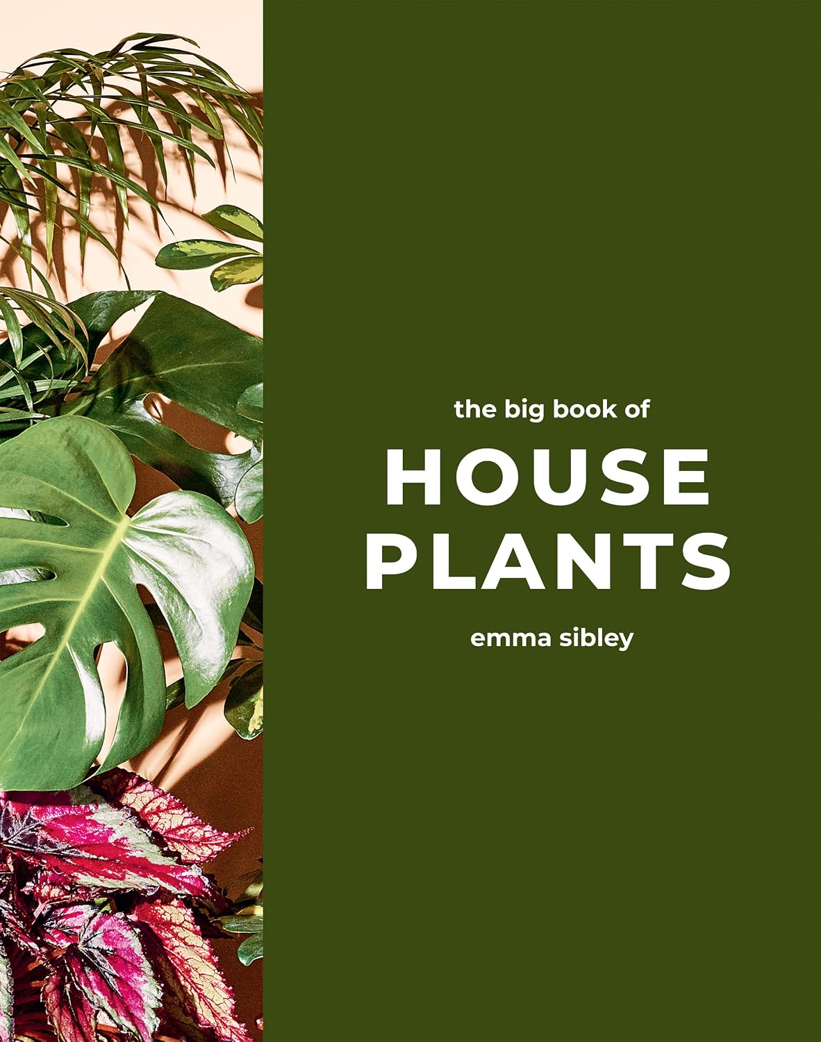 The Big Book of House Plants (English Edition) baixar o livro de graça