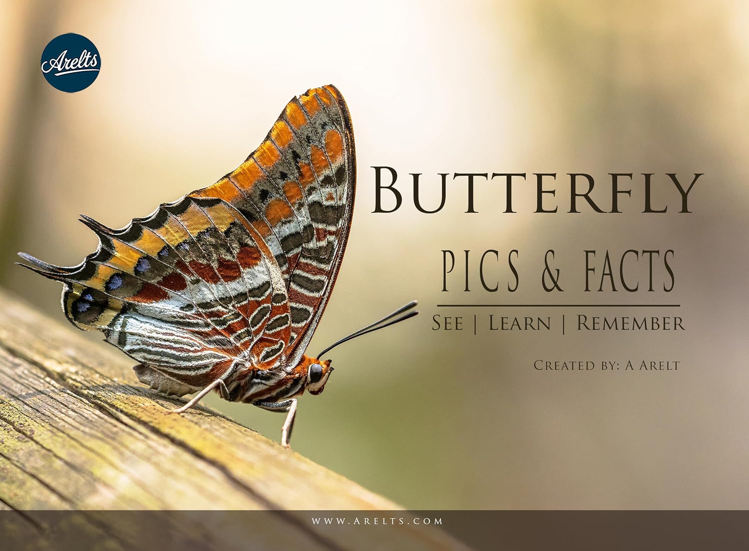 ler totalmente Butterfly: Pics and Facts: See | Learn | Remember (Pics & Facts - See | Learn | Remember) (English Edition)