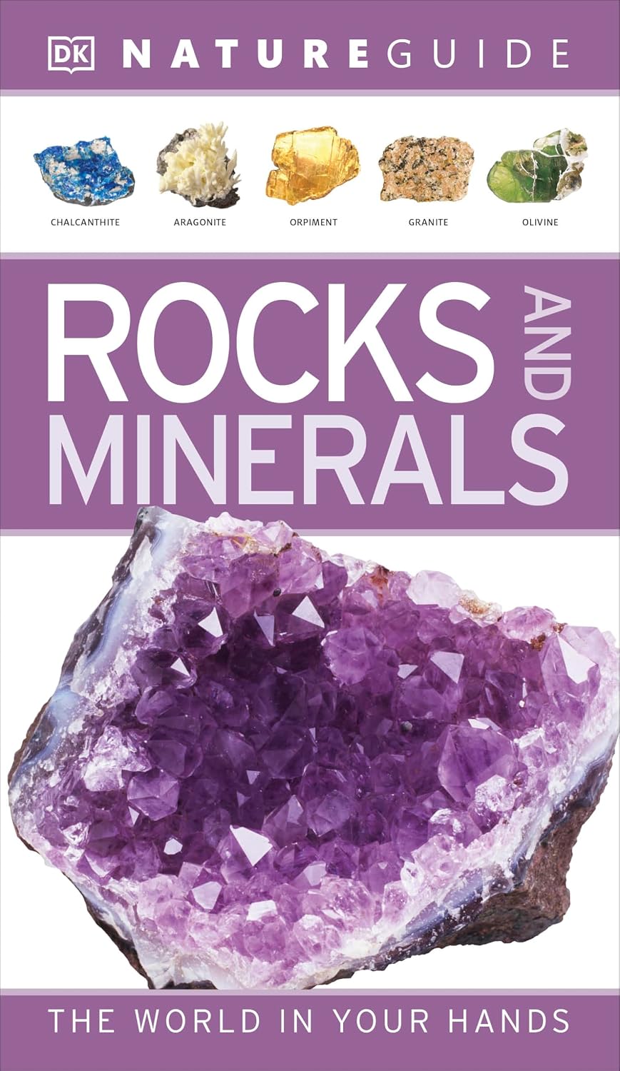 ler totalmente Nature Guide Rocks and Minerals: The World in Your Hands