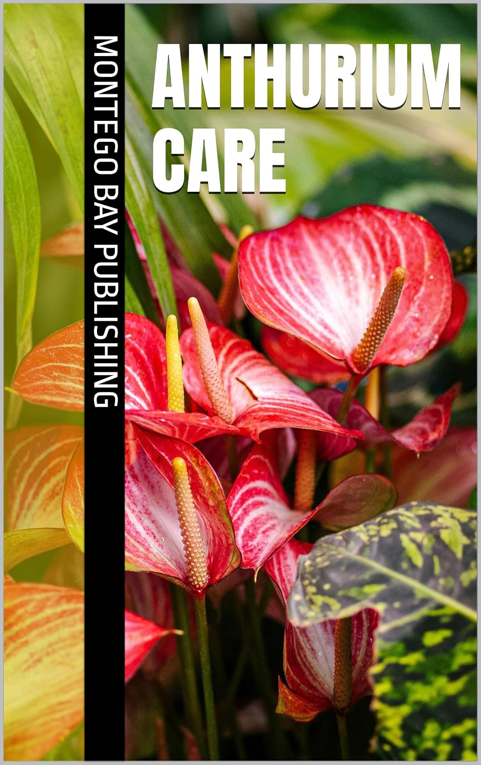 ler totalmente Anthurium Care (Growing Flowers) (English Edition)