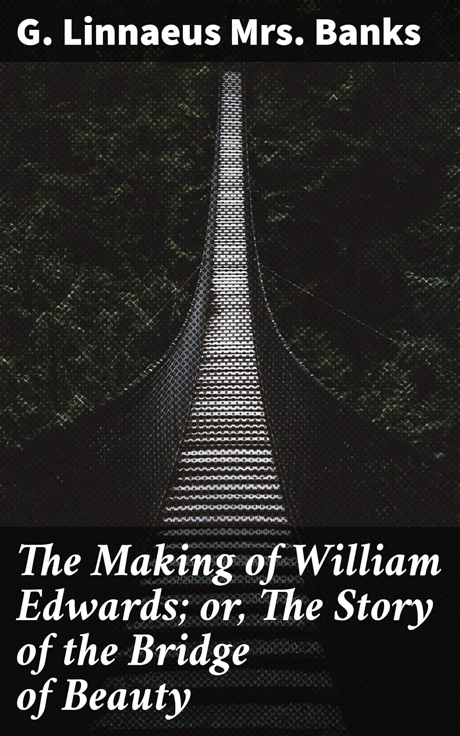 The Making of William Edwards; or, The Story of the Bridge of Beauty: A Journey Through Beauty and Innovation in 18th Century Wales (English Edition)