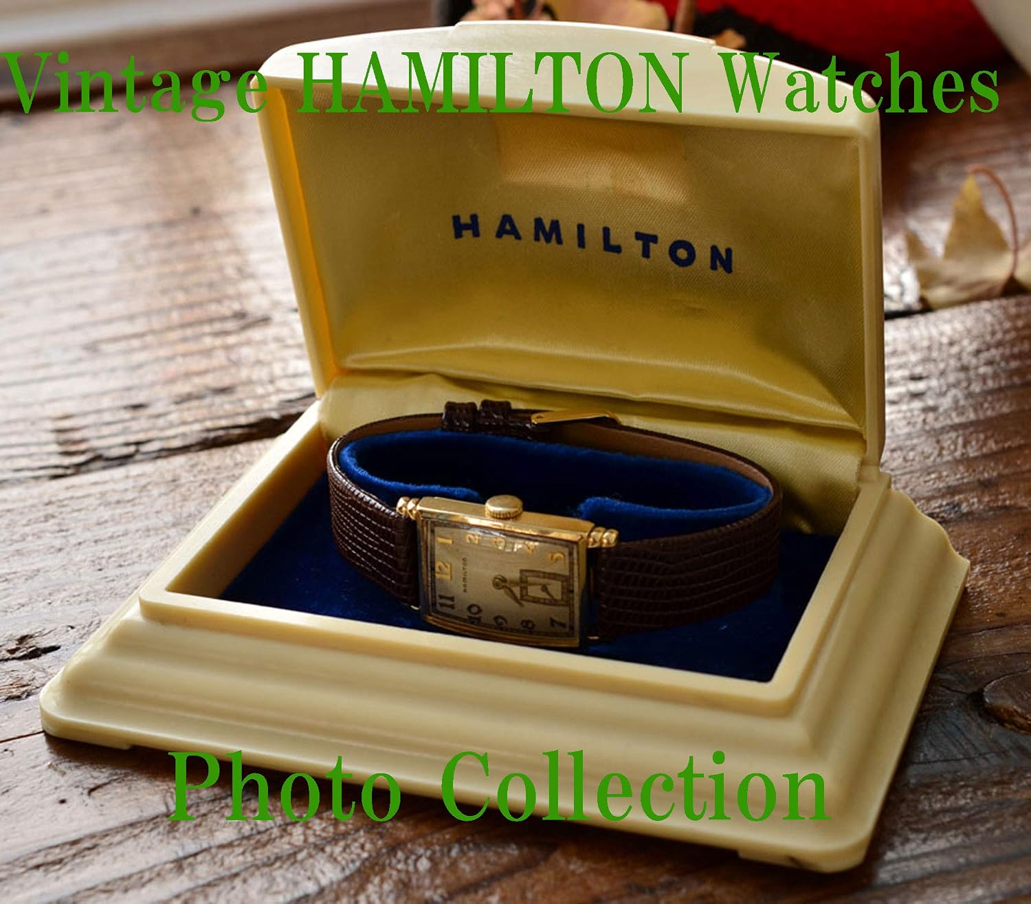 HAMILTON Vintage Antique Watches Photo Collection (English Edition) baixar livro de graça