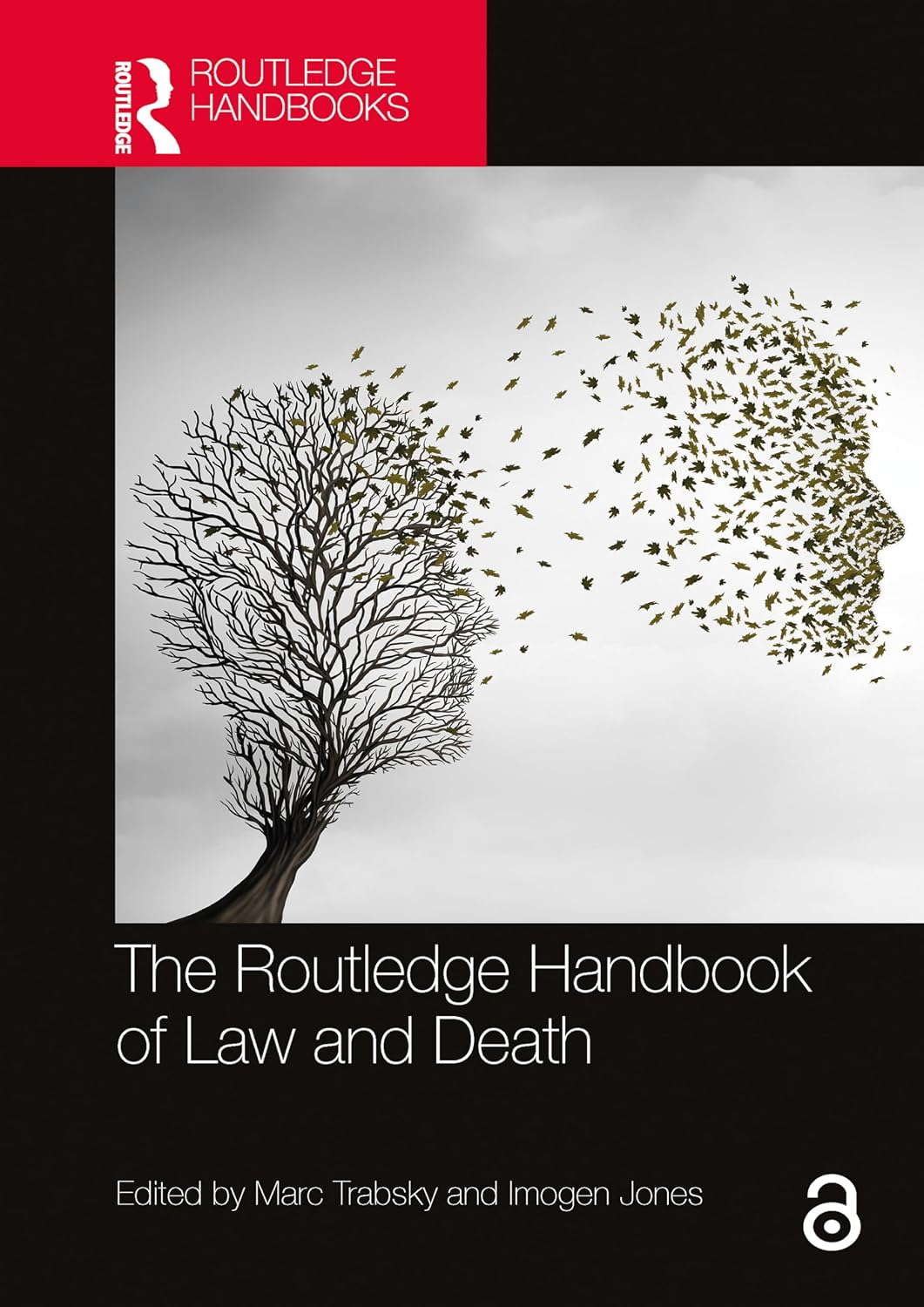 The Routledge Handbook of Law and Death (English Edition) baixar livro de graça