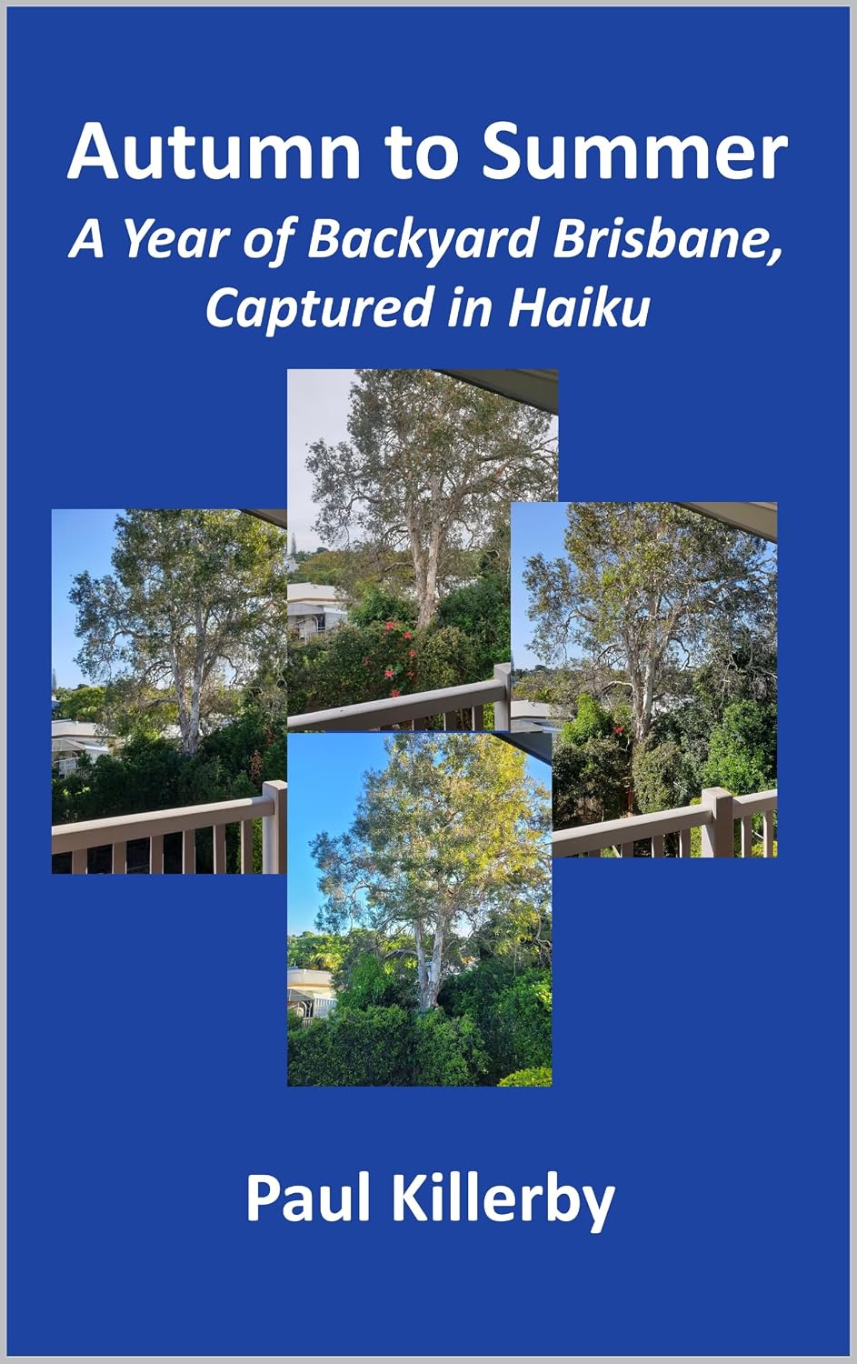 ler totalmente Autumn to Summer: A Year of Backyard Brisbane, Captured in Haiku (English Edition)