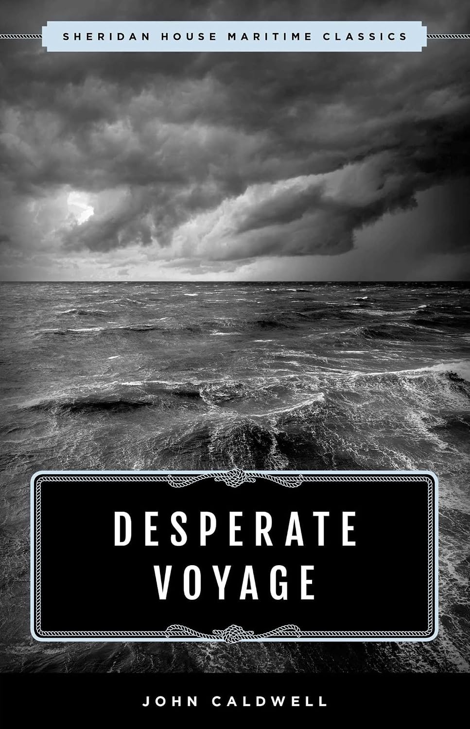 Desperate Voyage (Maritime Classics) (English Edition) baixar livro de graça
