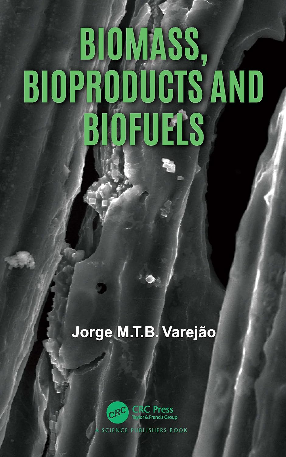 Biomass, Bioproducts and Biofuels baixar livro de graça