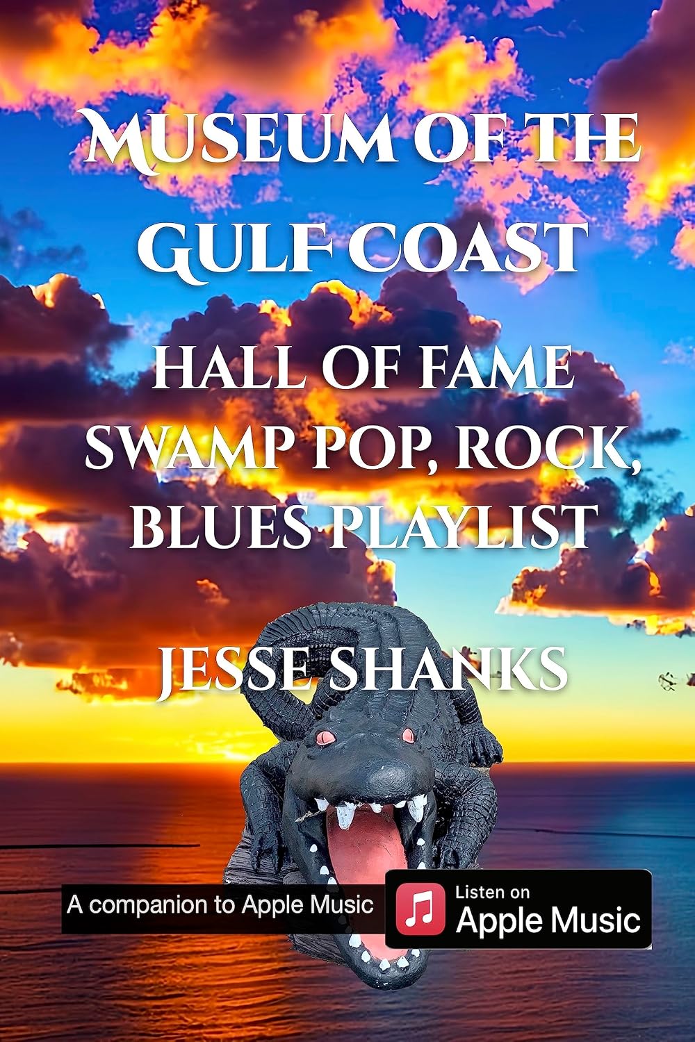capítulo por capítulo baixar Museum of the Gulf Coast: The Hall of Fame in Playlists (Playlist Journeys in Apple Music) (English Edition)