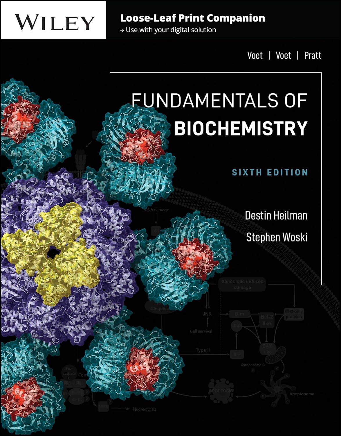 ler totalmente Fundamentals of Biochemistry