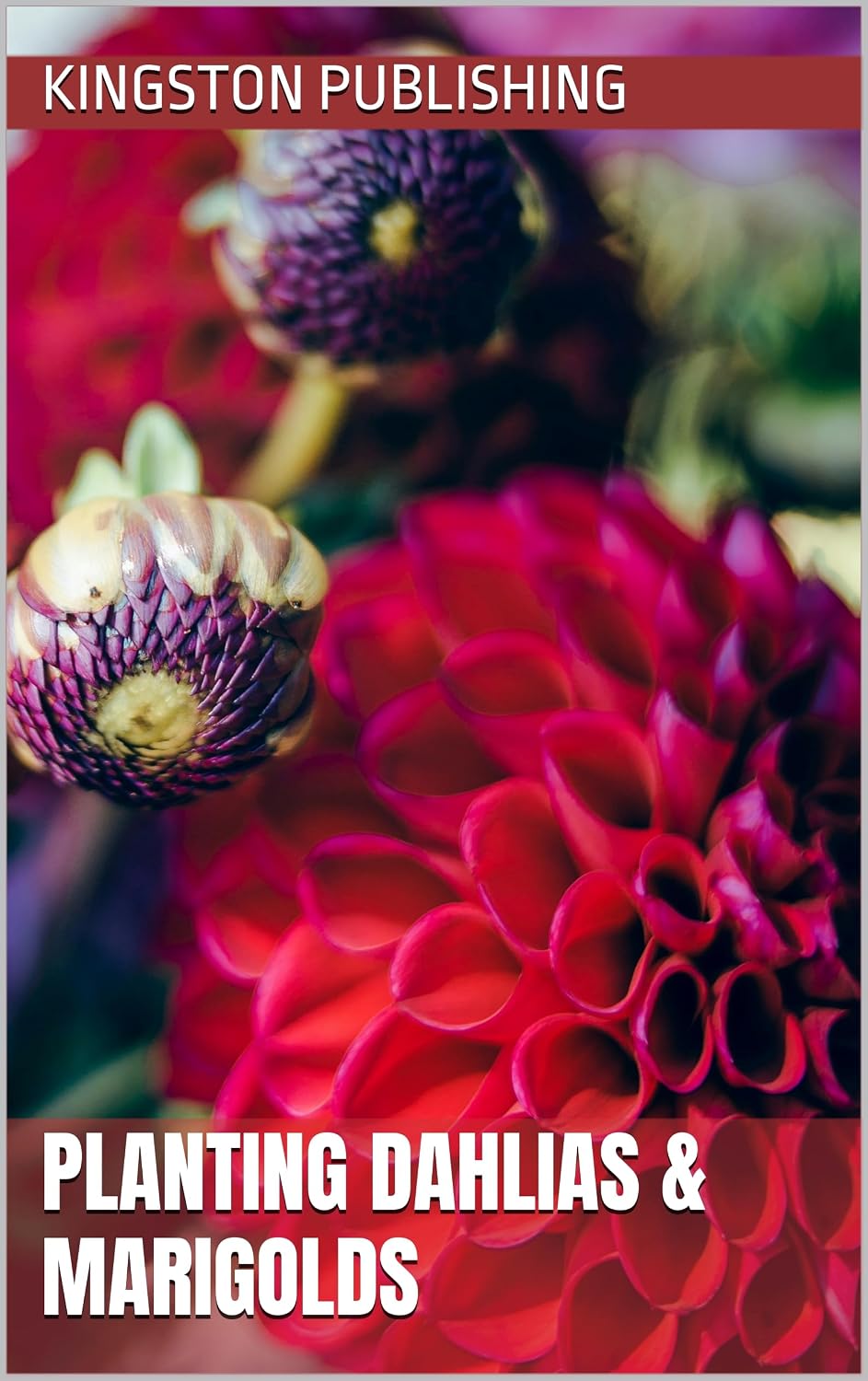 Planting Dahlias & Marigolds (Indoor Gardening) (English Edition) baixar livro de graça