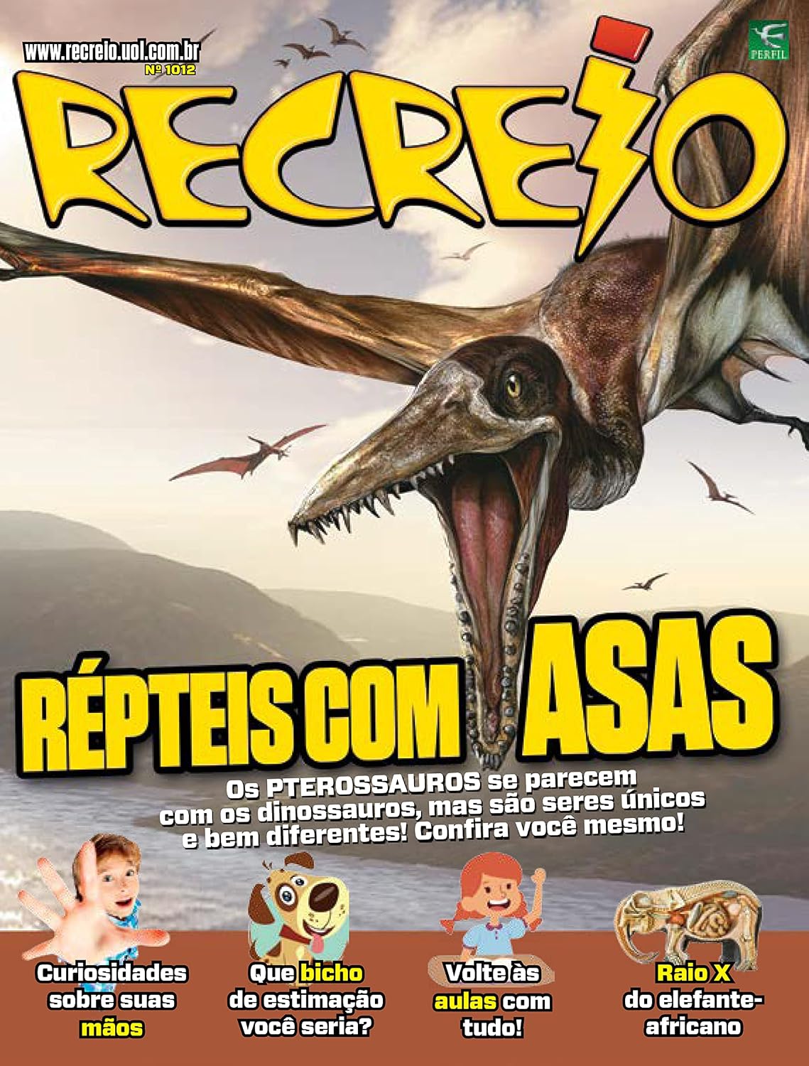 Revista Recreio - 15/02/2022 baixar livro de graça