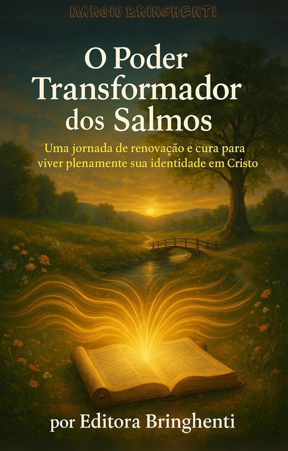 eBook O Poder Transformador dos Salmos - Uma Jornada de Renovação e Cura para Viver Plenamente Sua Identidade em Cristo baixar livro de graça