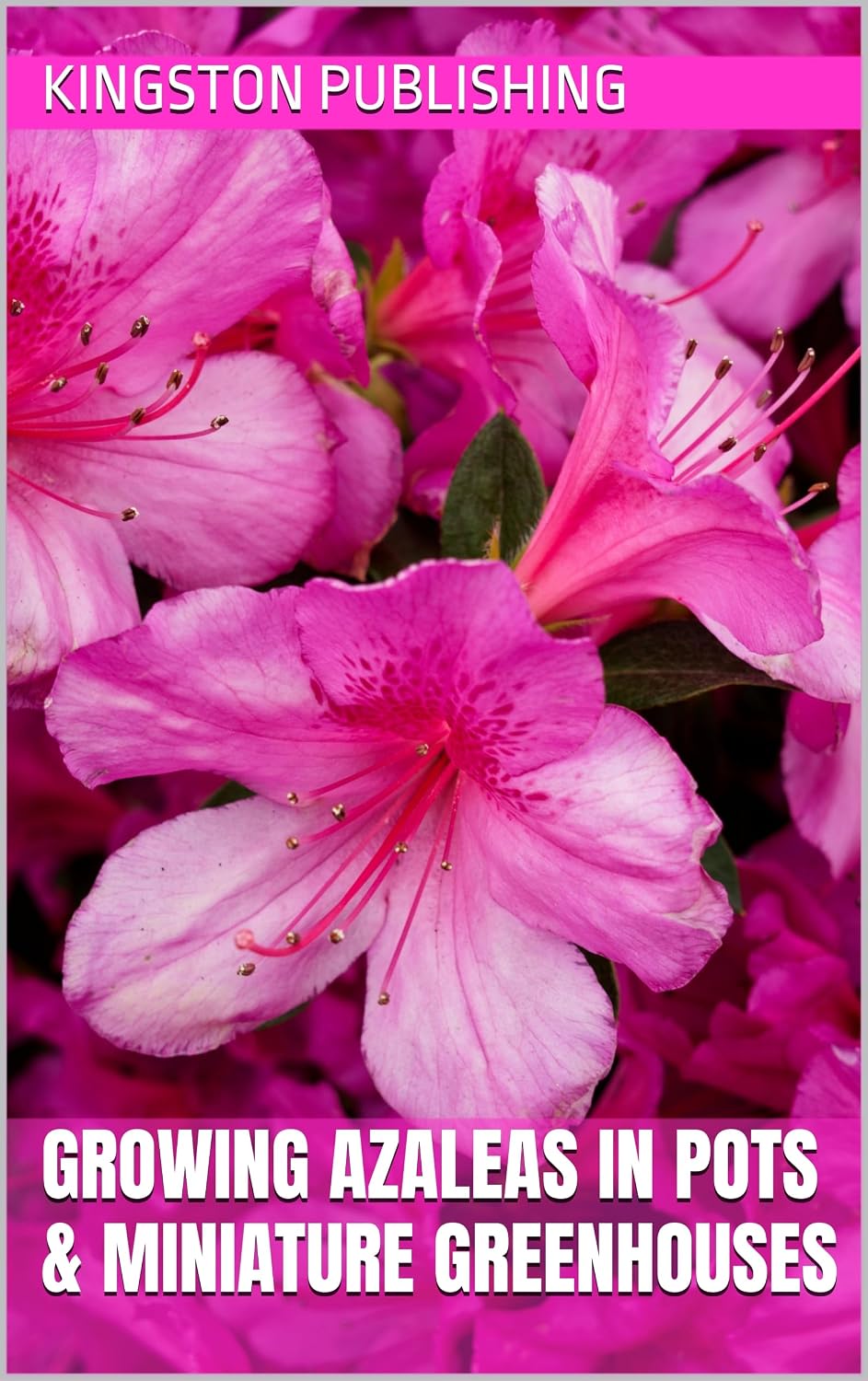 Growing Azaleas in Pots & Miniature Greenhouses (Tranquil Gardens) (English Edition) baixar livro de graça