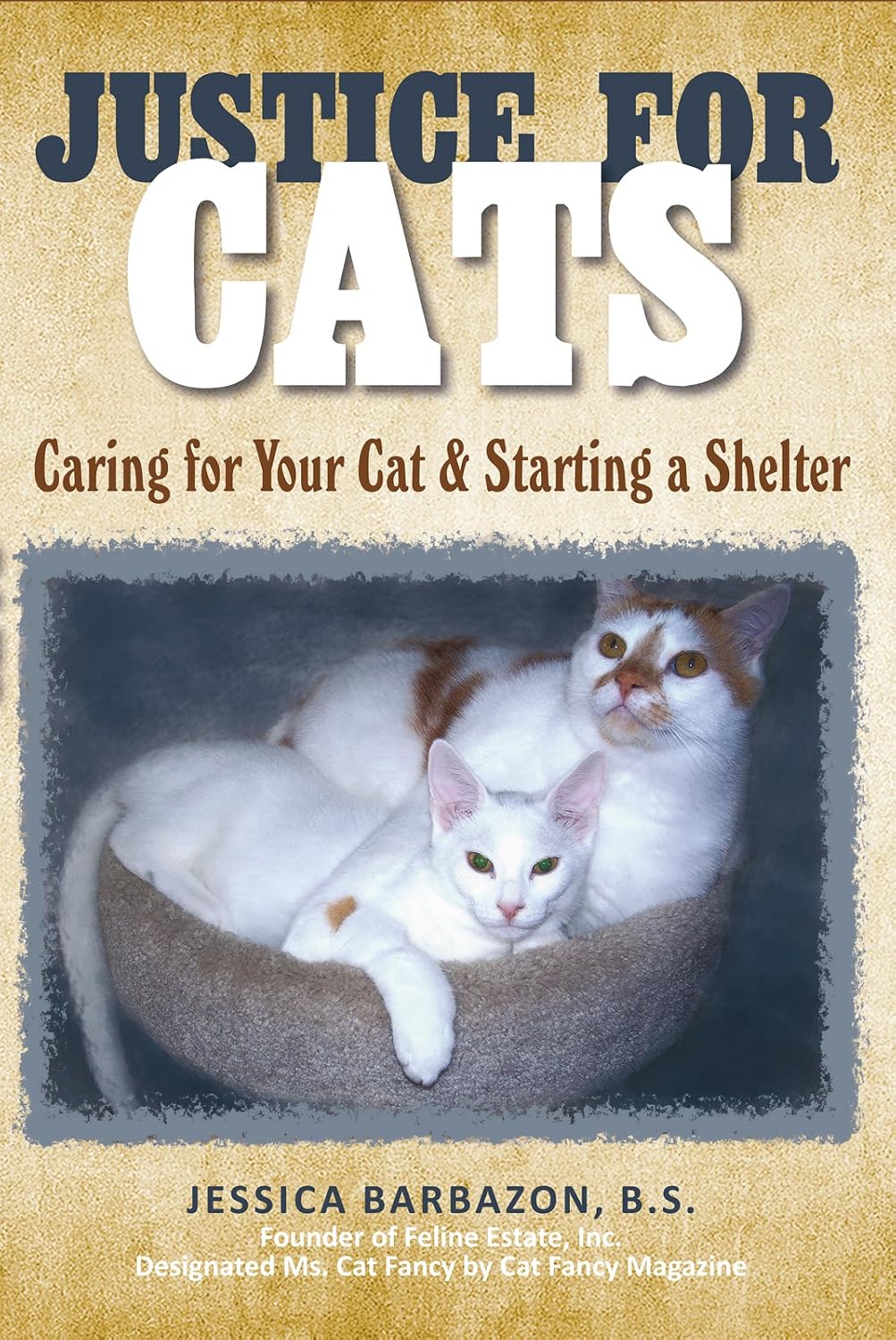 Justice for Cats: Caring for Your Cat & Starting a Shelter (English Edition) baixar o livro de graça