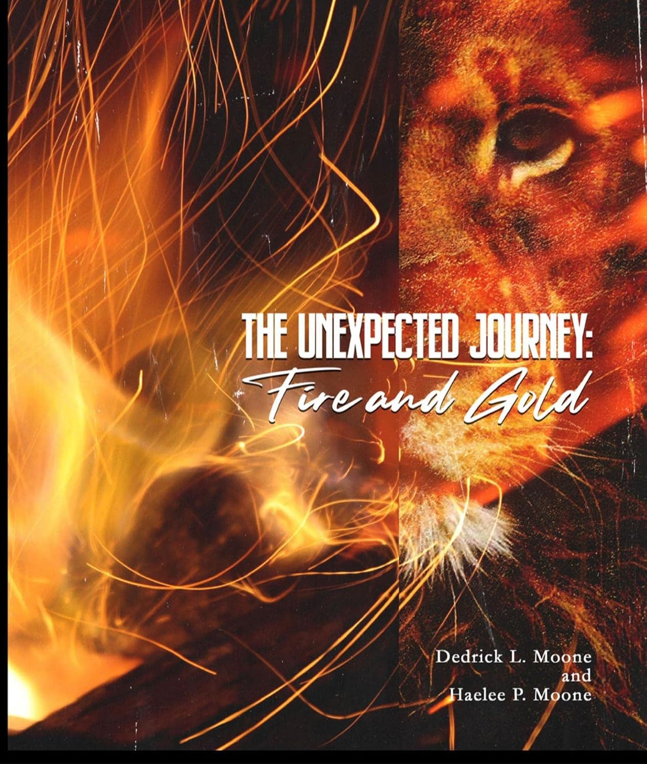 ler totalmente The Unexpected Journey: Fire and Gold (English Edition)