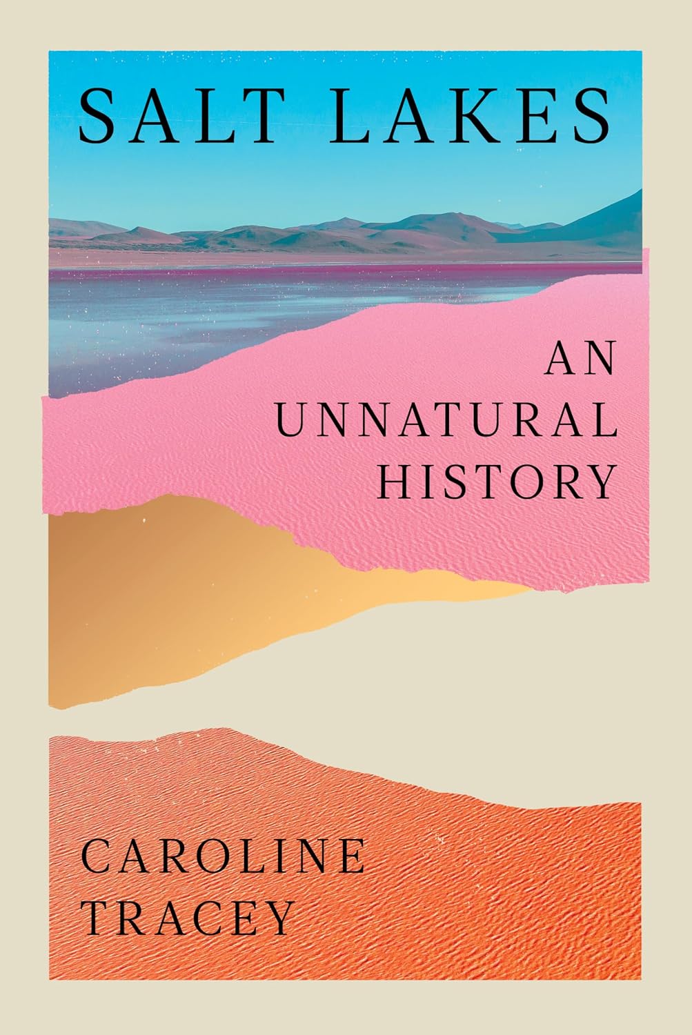 Salt Lakes: An Unnatural History (English Edition) baixar o livro de graça