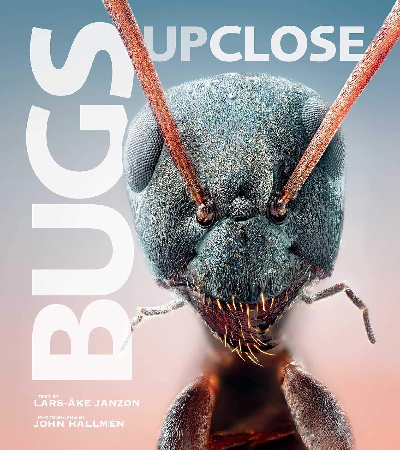 Bugs Up Close: A Magnified Look at the Incredible World of Insects baixar o livro de graça