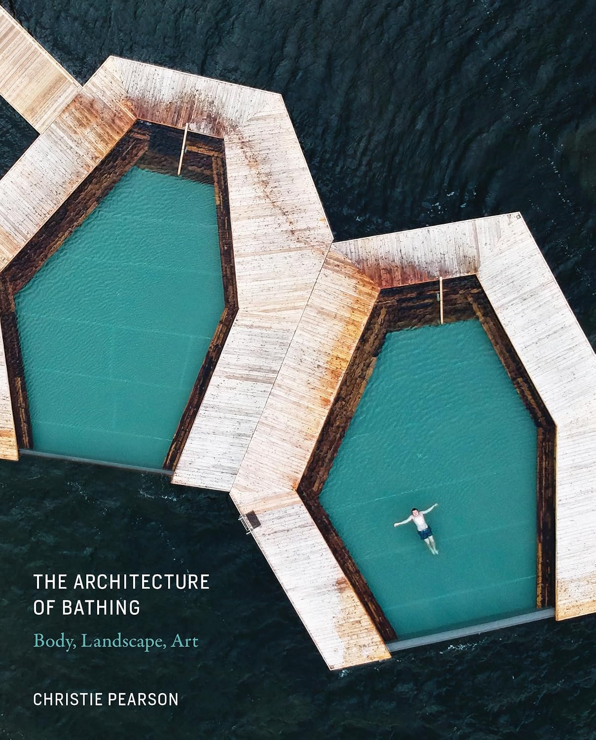 capítulo por capítulo baixar The Architecture of Bathing: Body, Landscape, Art