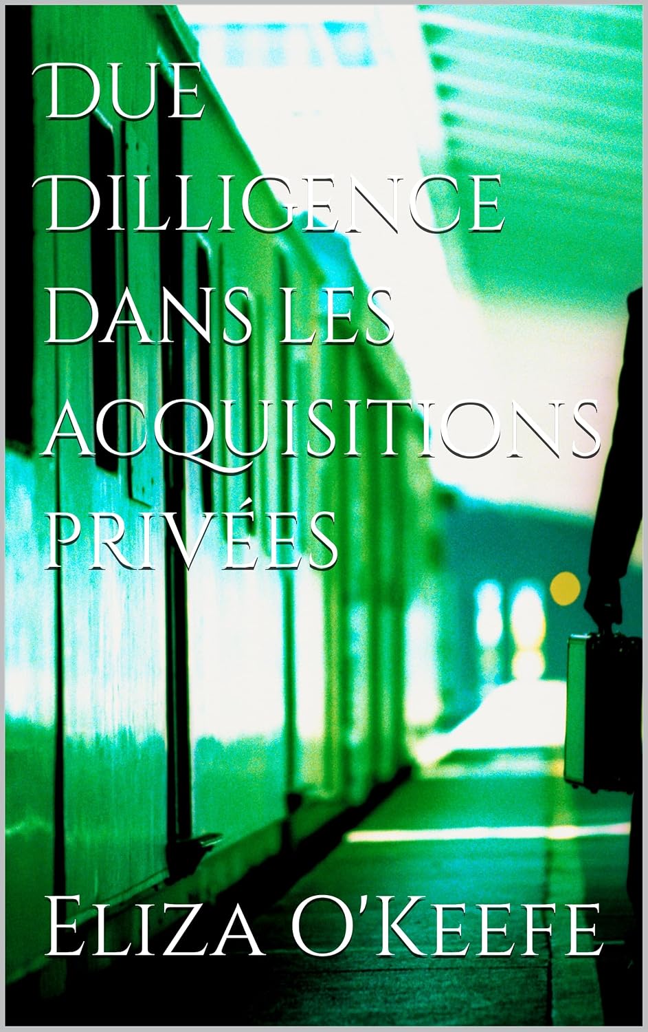 ler totalmente Due Dilligence dans les acquisitions privées (French Edition)