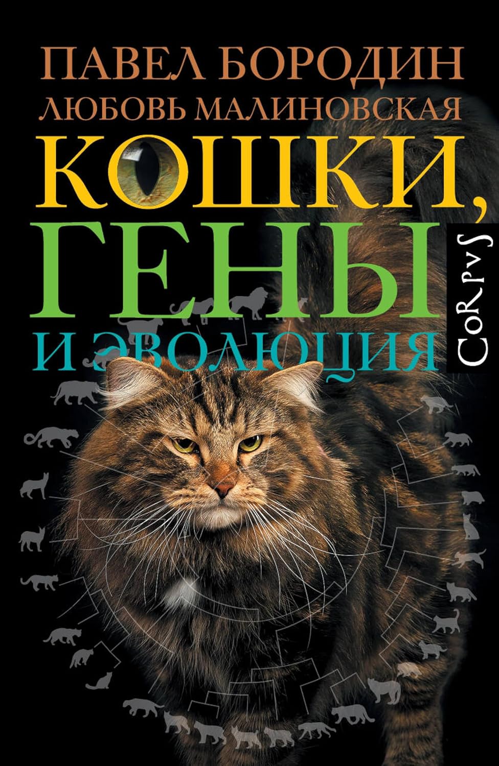 ler totalmente Кошки, гены и эволюция (Russian Edition)