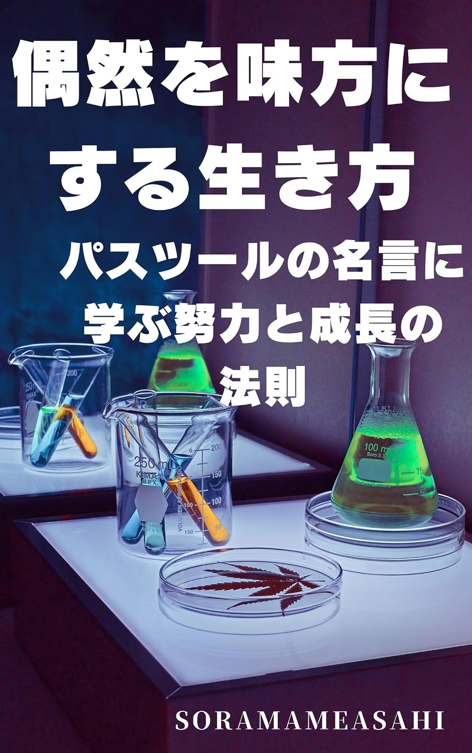 guuzenwomikatanisuruikikata: pasutsuurunomeigennimanabudoryokutoseichounohousoku (Japanese Edition) baixar o livro de graça