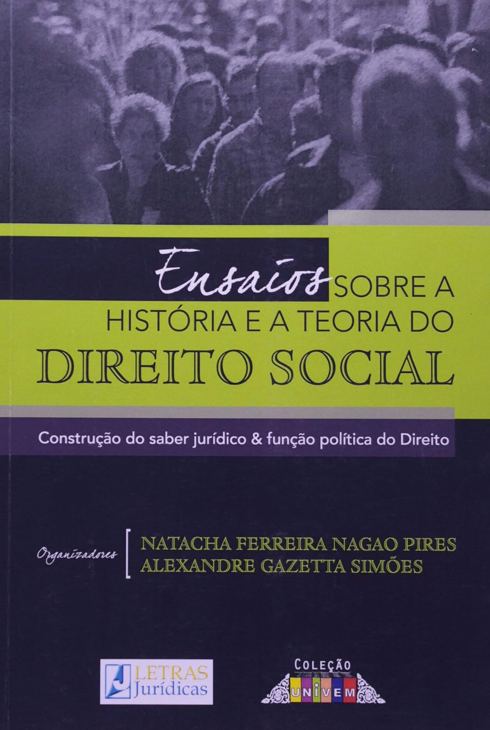 Ensaios sobre a história e a teoria do Direito Social: Construção do saber jurídico e função politica do direito baixar o livro de graça