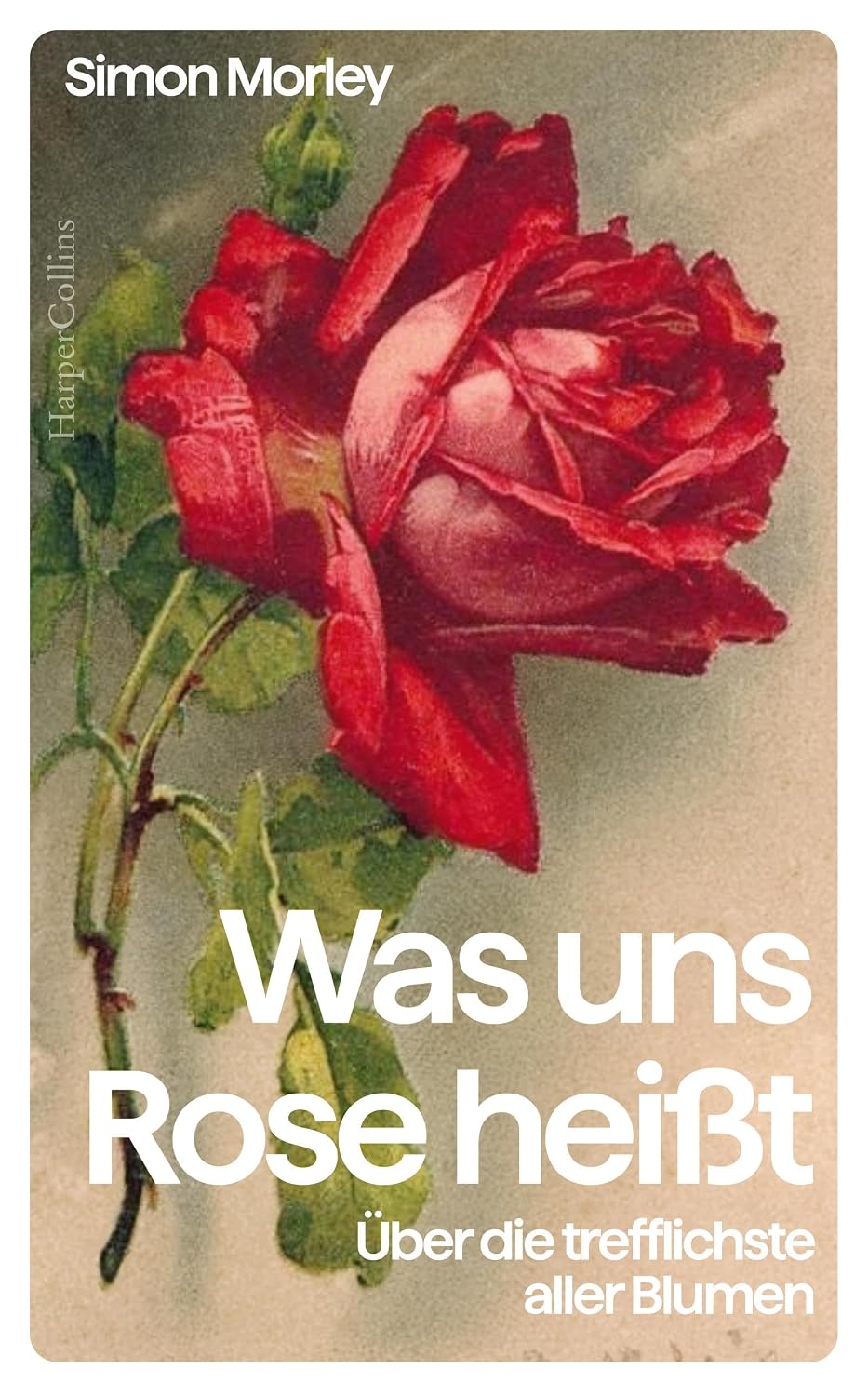 capítulo por capítulo baixar Was uns Rose heißt. Über die trefflichste aller Blumen: Eine Kulturgeschichte der Rose | Das perfekte Geschenk für Rosenliebhaberinnen und Rosenliebhaber,... und Kunstinteressierte (German Edition)