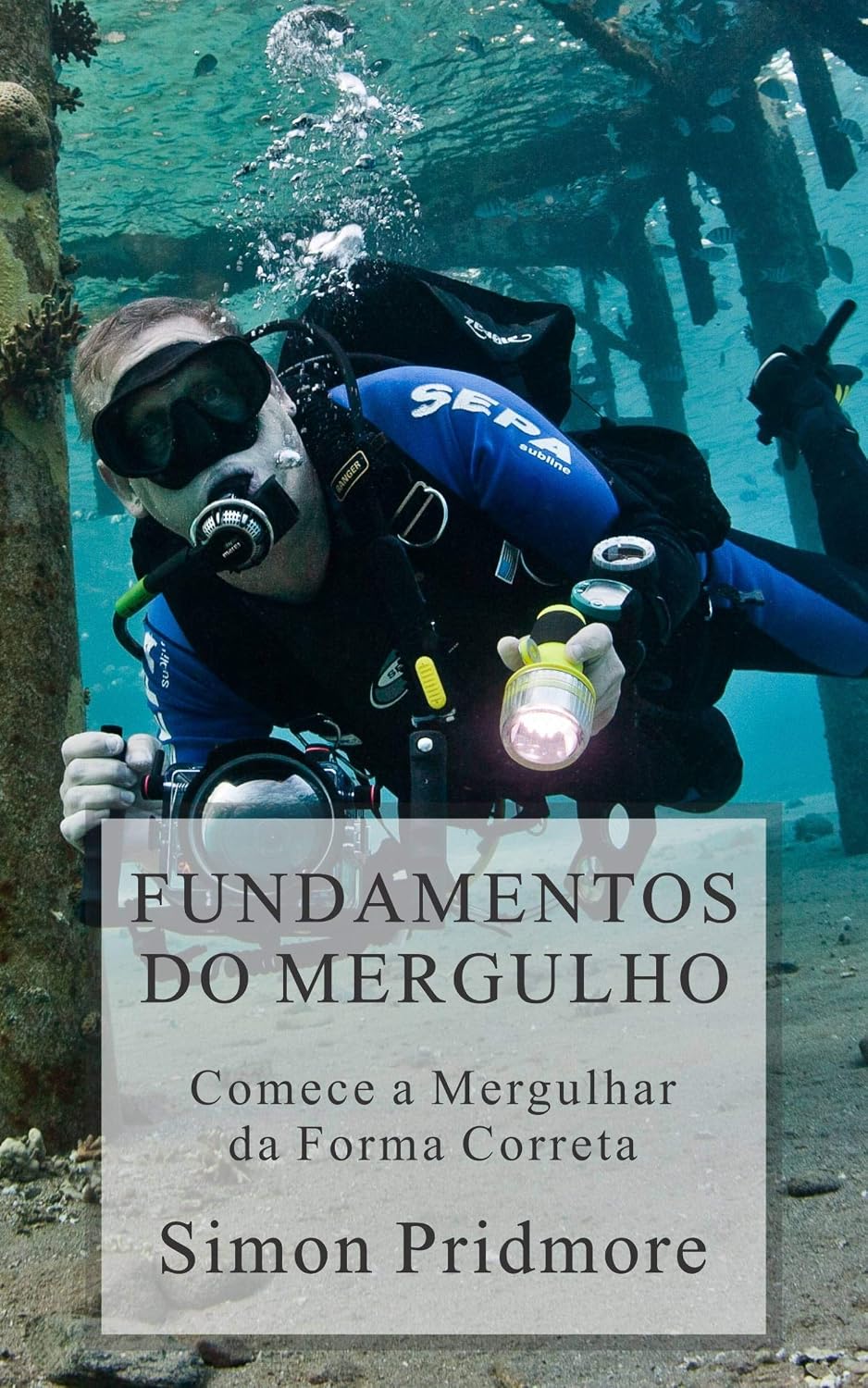 Fundamentos do Mergulho: Comece a Mergulhar da Forma Correta baixar o livro de graça