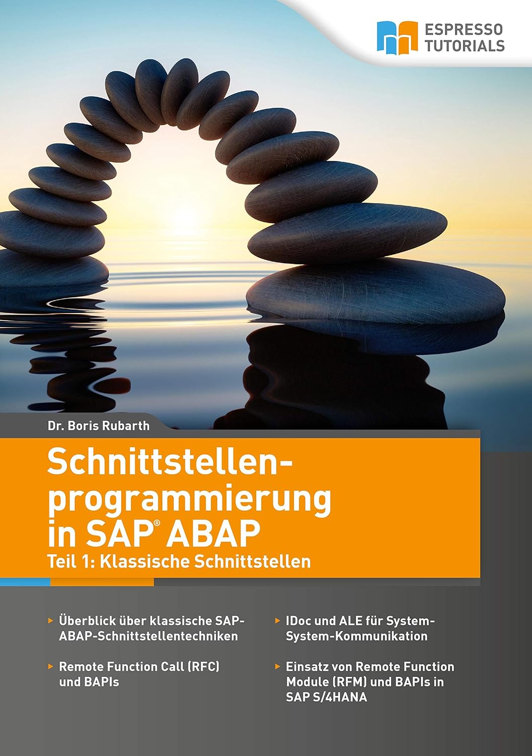 capítulo por capítulo baixar Schnittstellenprogrammierung in SAP ABAP (German Edition)