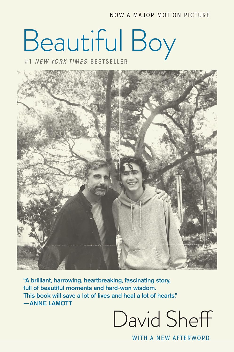 Beautiful Boy (Tie-In): A Father's Journey Through His Son's Addiction baixar o livro de graça