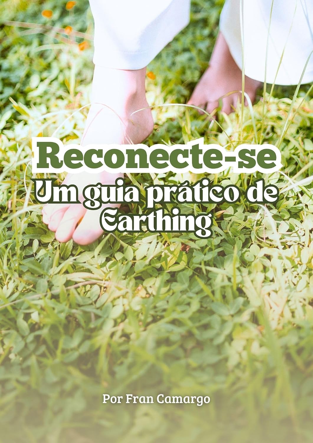 Reconecte-se: Um Guia Prático de Earthing baixar o livro de graça