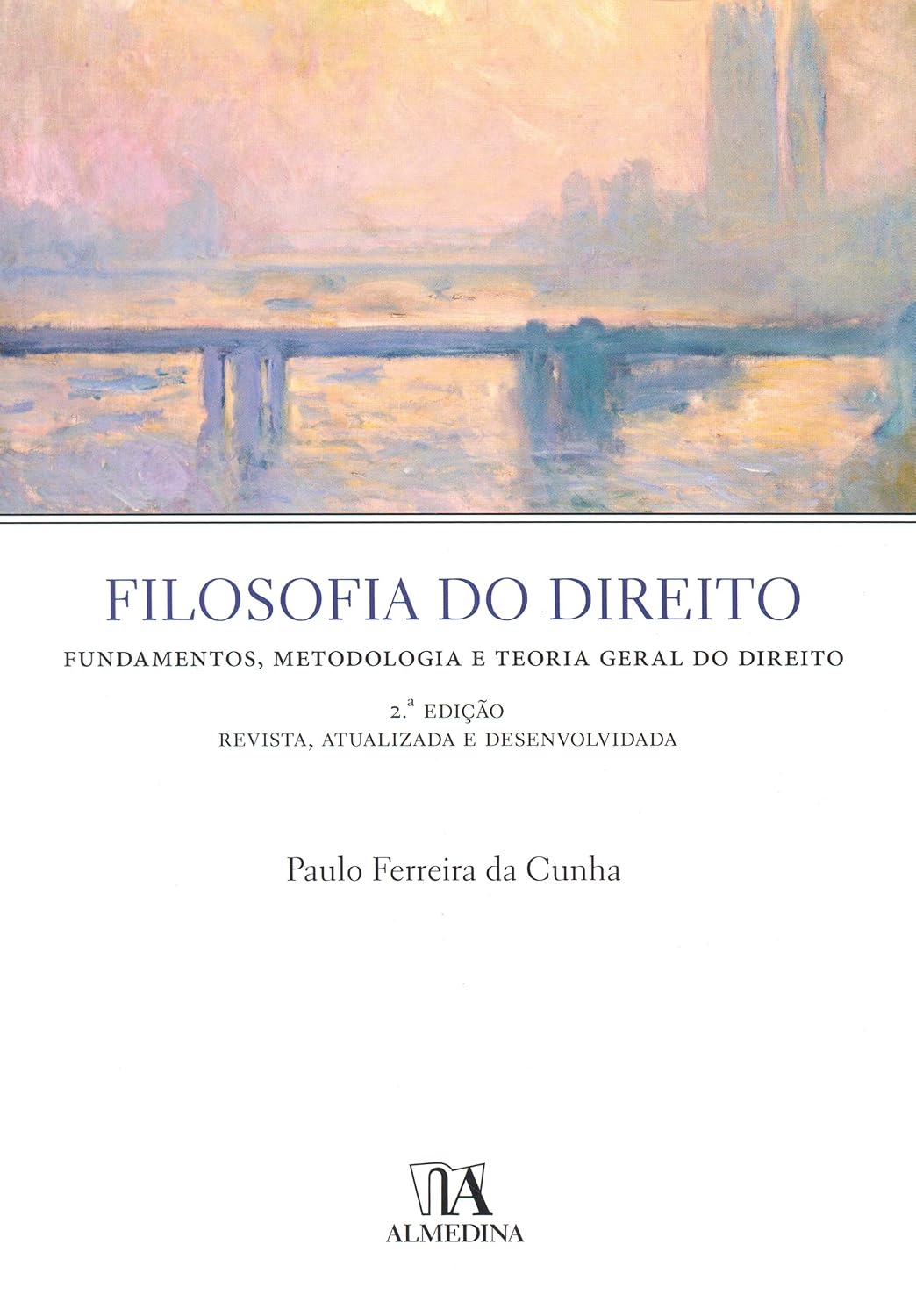Filosofia do Direito: Fundamentos, Metodologia e Teoria Geral do Direito baixar o livro de graça
