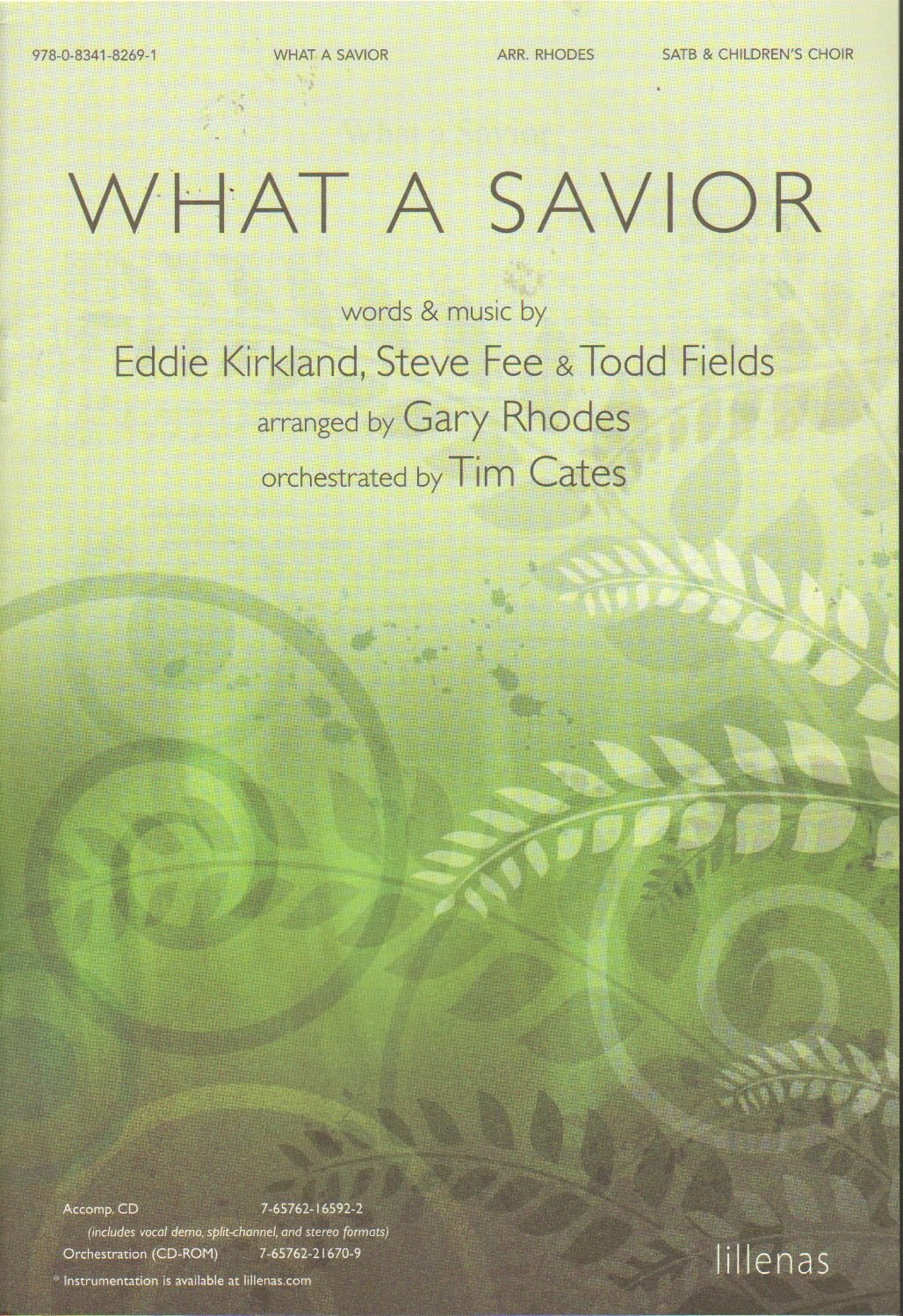 What a Savior baixar o livro de graça