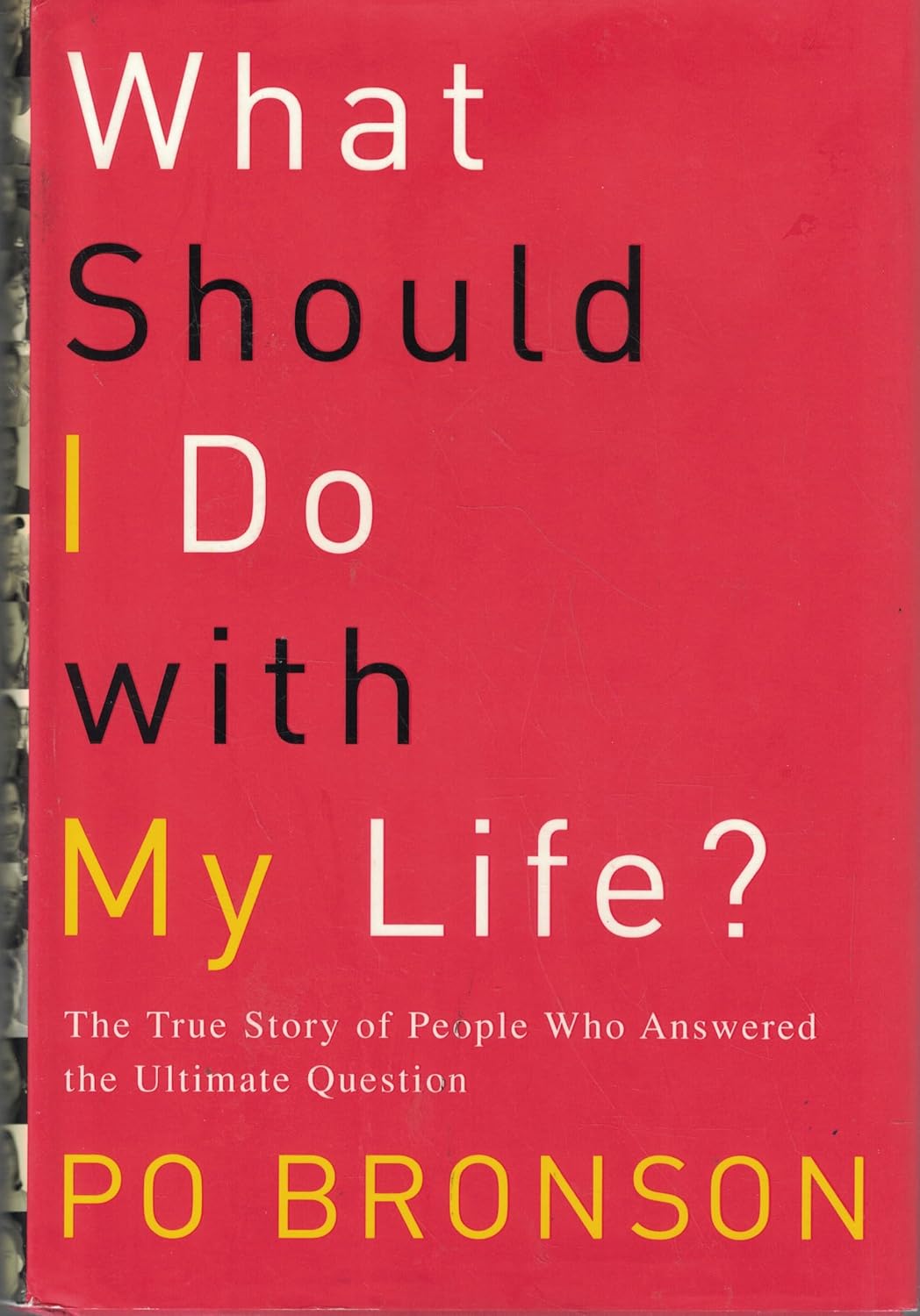 What Should I Do with My Life?: The True Story of People Who Answered the Ultimate Question baixar livro de graça
