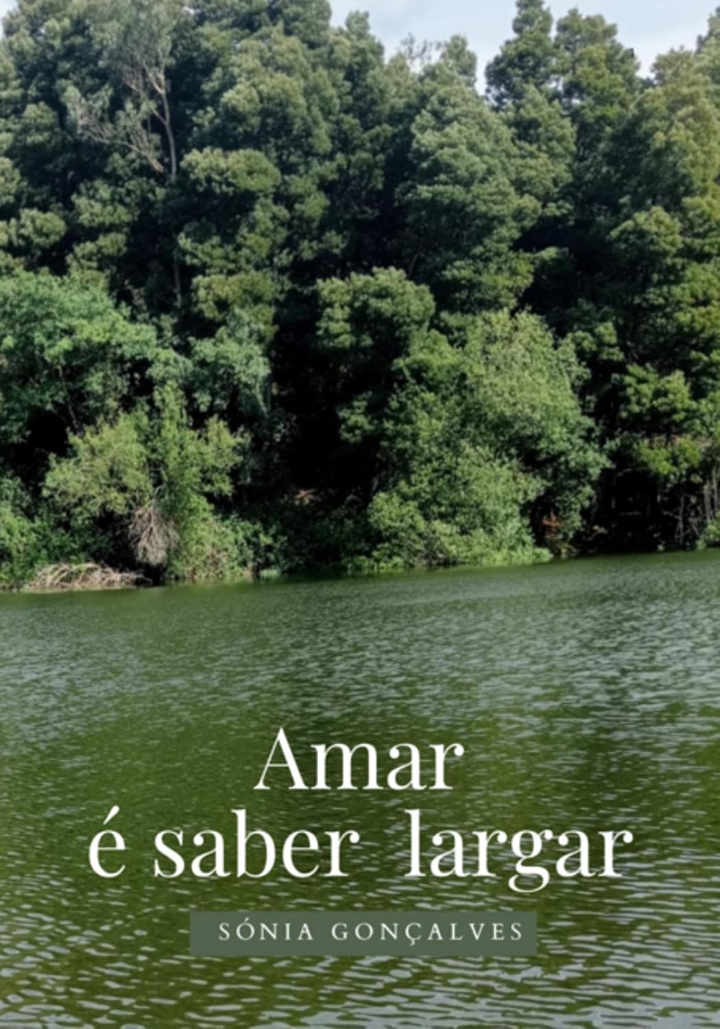 ler totalmente Amar É Saber Largar