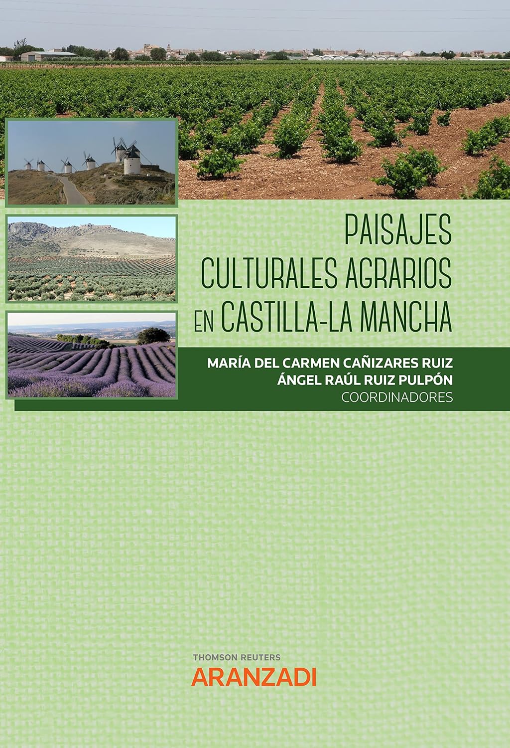 Paisajes Culturales Agrarios en Castilla-La Mancha (Estudios) (Spanish Edition) baixar livro de graça