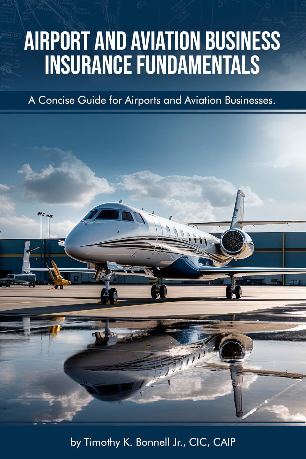 Airport and Aviation Business Insurance Fundamentals: A Concise Guide for Airports and Aviation Businesses (English Edition) baixar livro de graça