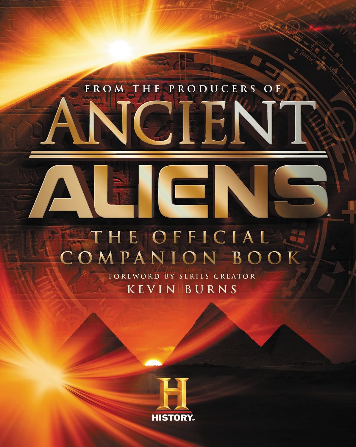 ler totalmente Ancient Aliens: The Official Companion Book